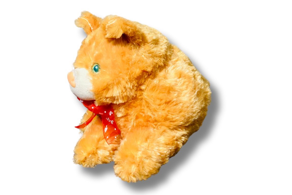 β¨π± Magical Kitty Plush β Light & Sound Cat Toy